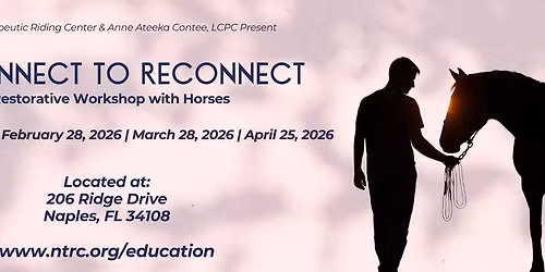 Disconnect to Reconnect: A Restorative Workshop with Horses
