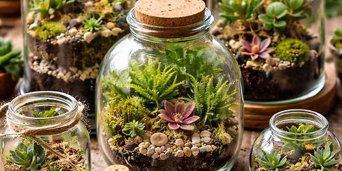Terrarium Making in Upcycled Containers