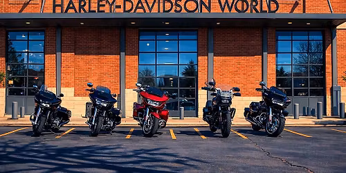 Bikes, Baskets, & Bunny Pics