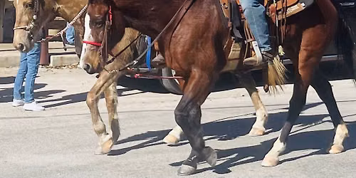 Queens Trailride