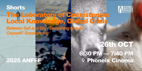 Shorts: The Laboratory of Coexistence