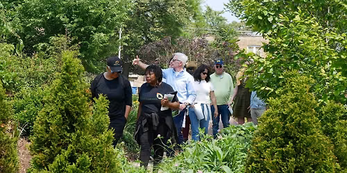 Great Migration Legacy Walking Tour \u2013 \u201cThe Sustainable Square Mile Rises\u201d