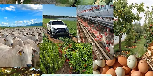 Future of Farming