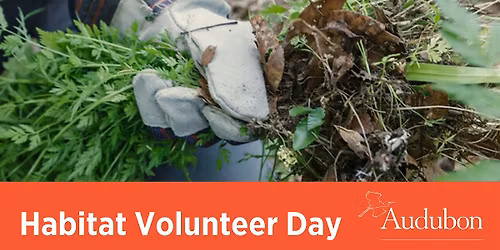 Habitat Volunteer Day