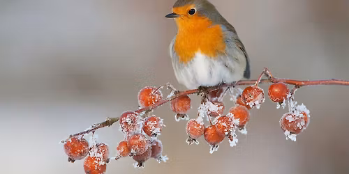 Storytime with Mrs Claus - Sutton Courtenay, Thursday 4 December