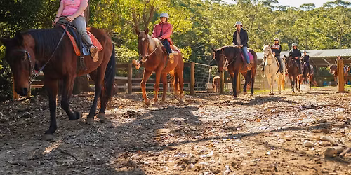 Equine Empowerment Day - Welcome to Get Real for all Young Carers