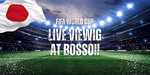 FIFA WORLD CUP LIVE  VIEWING AT BOSSO