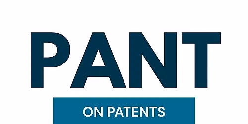 Patents as an Asset Class: Structuring Deals, Managing Risk & Navigating AI