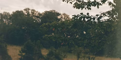 Mat Kerekes at Mahall's