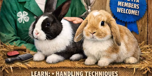 Rabbit Showmanship Clinic