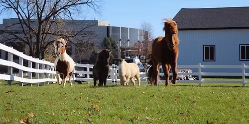 Hearts & Hooves Luncheon