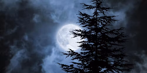 Cacao Ritual und die magische Zeit der Rauhn\u00e4chte (13-W\u00fcnsche Ritual)