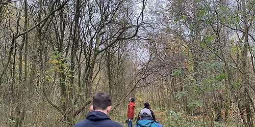 Woodland management at Painswick Park