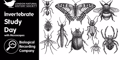 Invertebrate Study Day