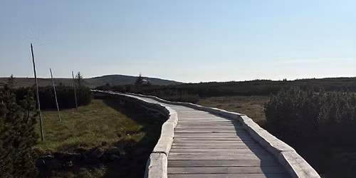 SLOW JOGGING 4