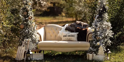 Outdoor Christmas Minis