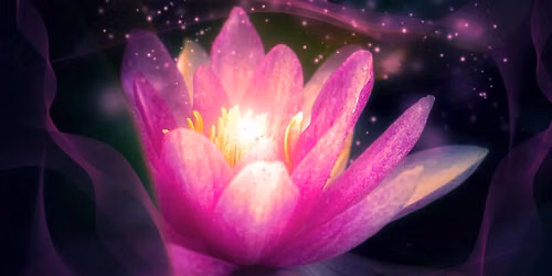 Meditation & Dharma Talk with Diana Clark (Seeing Clearly, Holding Gently) Hybrid event