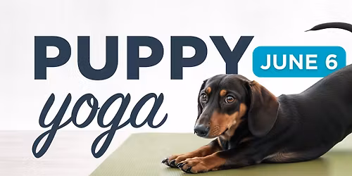 Puppy Yoga Fundraiser - Dogtopia of Downers Grove