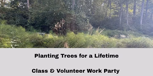 Planting Trees for a Lifetime- Class and Volunteer Work Party 