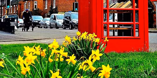 Esther\u2019s & TVRA QUIZ