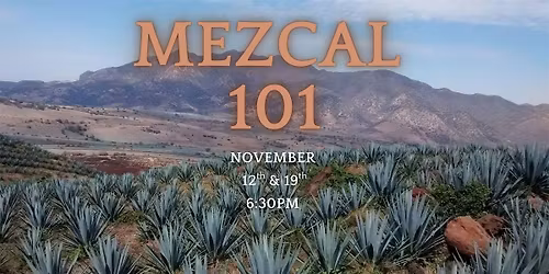 Mezcal 101