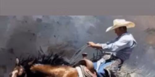 Neuer\u00f6ffnung Movie Pub Hof