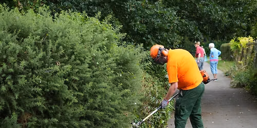 Volunteer in your park: Countryside and Parks Conservation Group