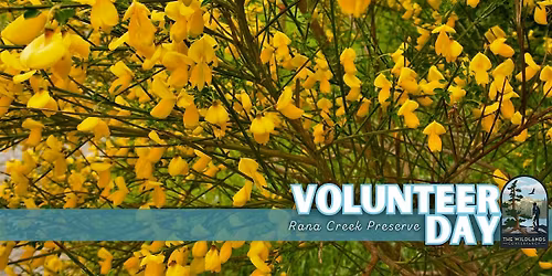 Volunteer Day: Invasive Plant Removal - Rana Creek Preserve