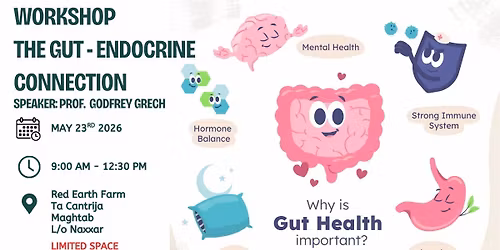 The Gut - Endocrine Connection