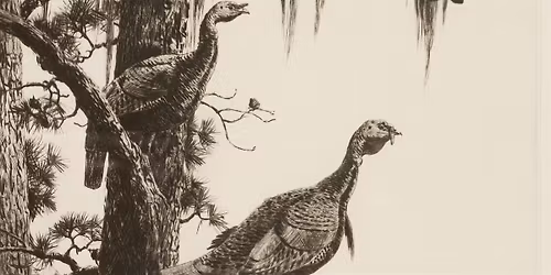 Art After Hours - Etching