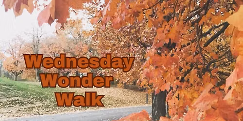 The Wonder of Autumn