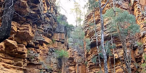 Mount Remarkable Weekender For Women