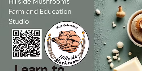 Making Home Made Mushroom Soaps with real Local Mushrooms