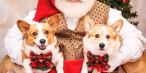 Miss Winkles fund raiser