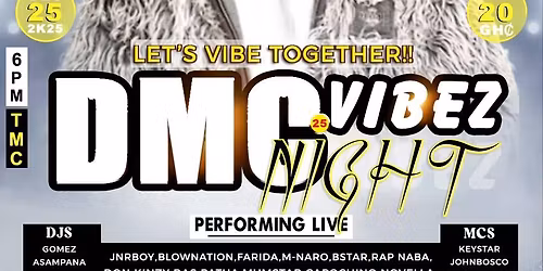 DMC VIBEZ NIGHT 2K25 