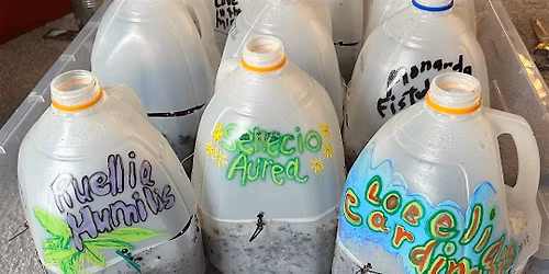 Wildflower Winter Sowing and Tray Planting Workshop