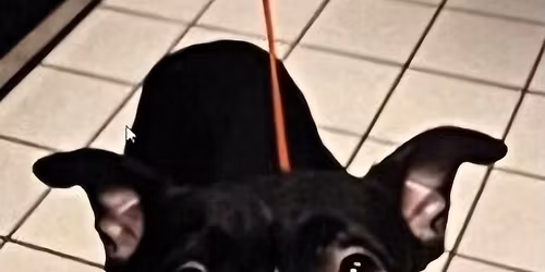 Rodriguez Compliance 