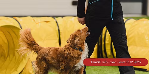 TamSKin rally-tokokisa 13.12.2025