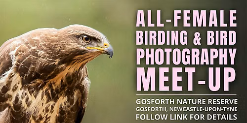 All-Female Birding & Bird Photography Morning