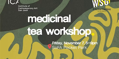 Medicinal Tea Workshop