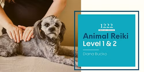 Animal Reiki Certification \u2013 Levels 1 & 2 \u2013 2 Day Class