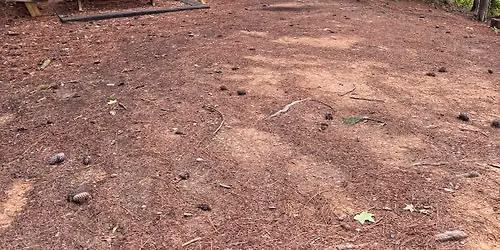 Wednesday Trail Group Run