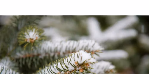 Wintergreen Scavenger Hunt-Tiny Tots (3-5 years), $4 cash per child