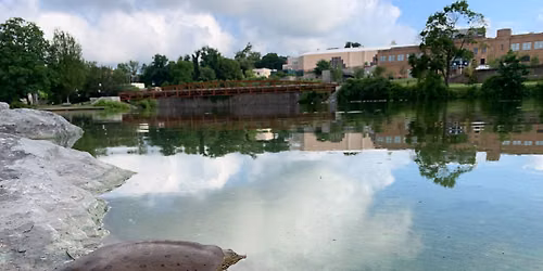 Taking a Walk on Jamestown's Wild Side