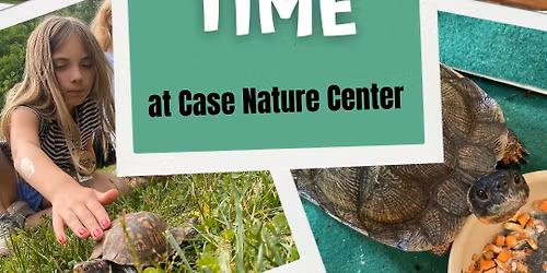 Turtle Time at Cool Spring Preserve