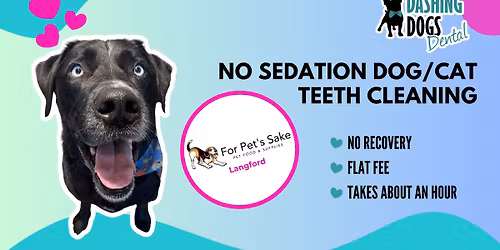 Pet Teeth Cleaning Event - Langford