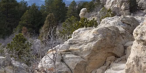 Ute Valley Park Walk