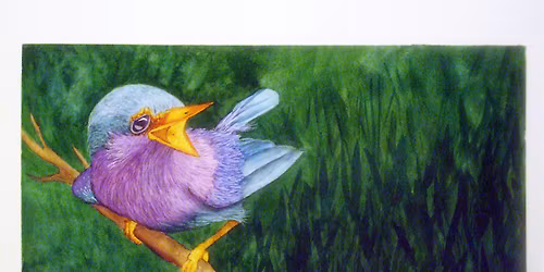 WATERCOLOR STUDIO WITH HANNAH COMPLIN 4 Week Class