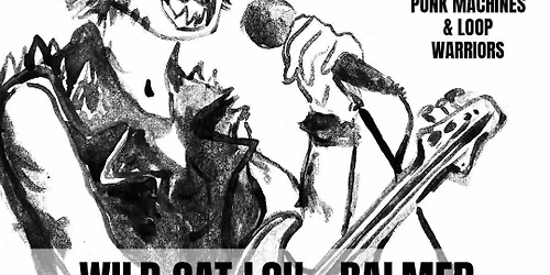 Wild Cat Lou dj set - Revolver Klub - Balmer - Miaule Mort , en live a l' Interm\u00e9diaire !
