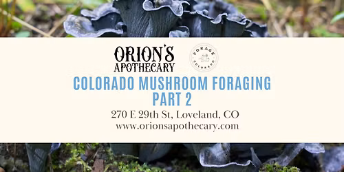 Part 2 Colorado Mushroom Foraging with Orion Aon